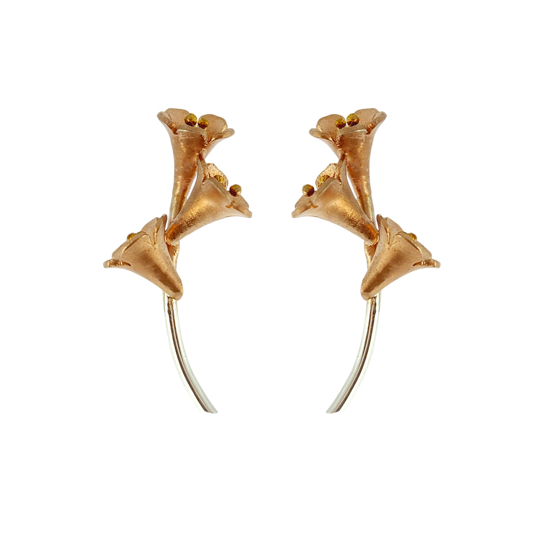Trumpet Vine Earrings